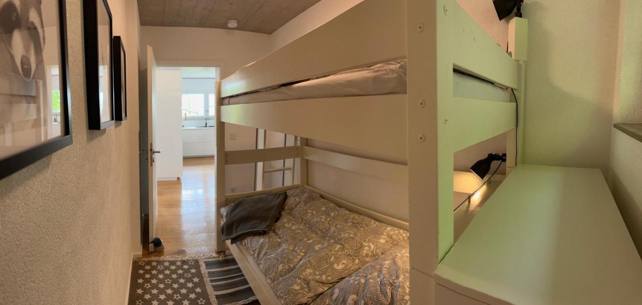 Moderne Ferienwohnung Rhenum Mit Wallbox Waldshut-Tiengen Kültér fotó