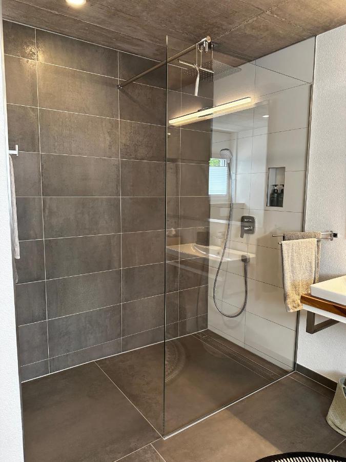 Moderne Ferienwohnung Rhenum Mit Wallbox Waldshut-Tiengen Kültér fotó